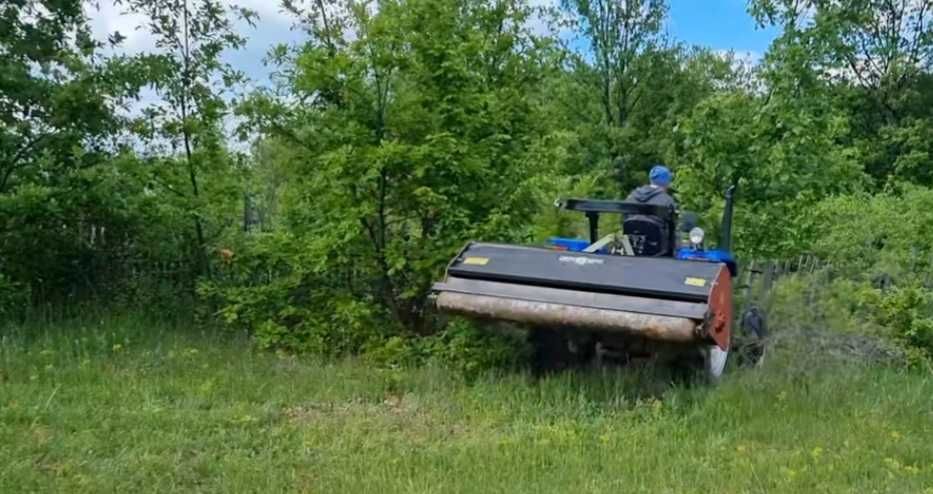 Servicii defrisari terenuri