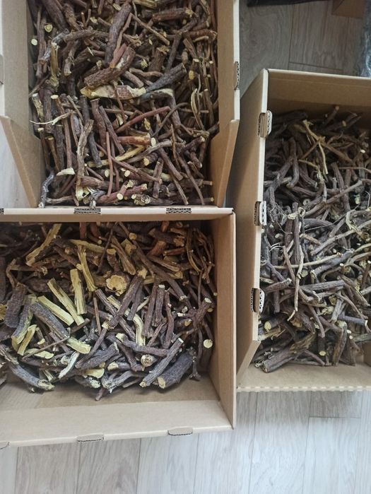 Солодка (корни) горная