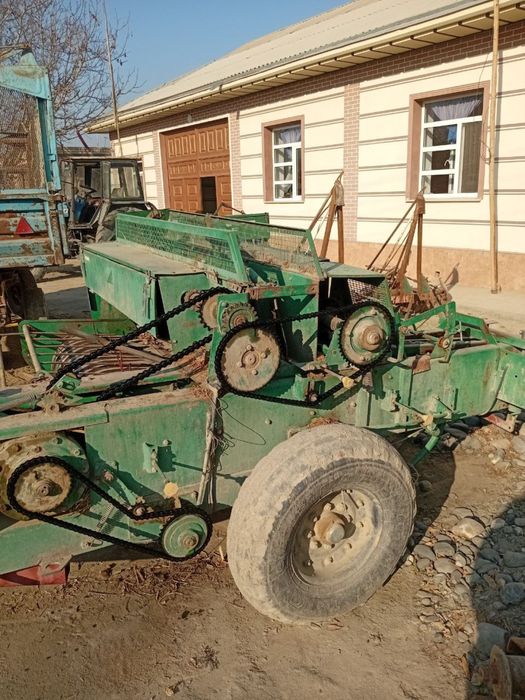 Прис  падборчик.