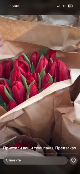 Тюльпаны 1 шт 690тг