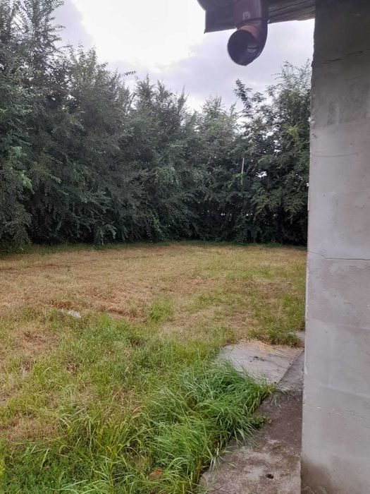 Vand casa la Tara
