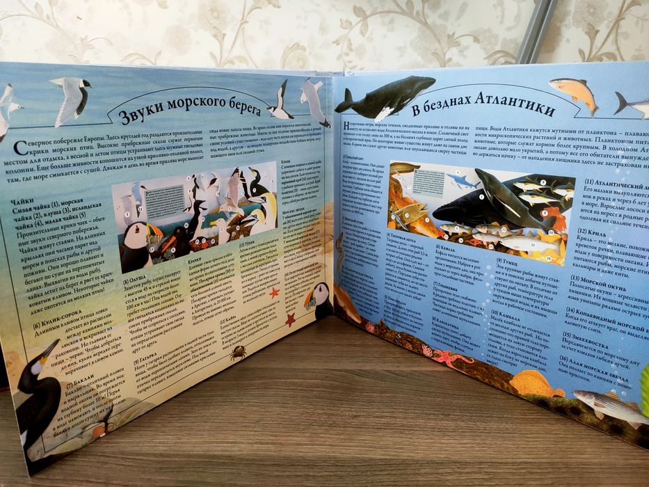 Книга -панорама со звуком