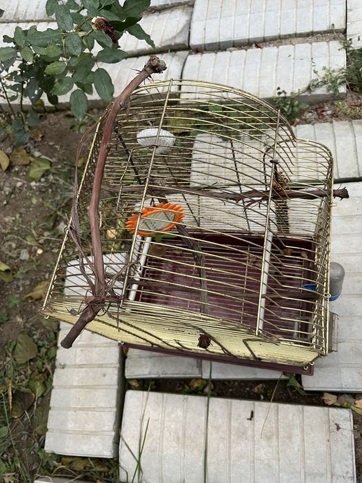 Продам б/у клетка