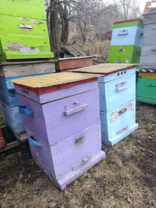 Улья для пчел  продам