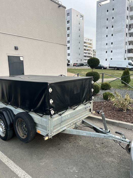 Remorca 750 kg cu prelata mufa 13 pini basculabila 230 cm