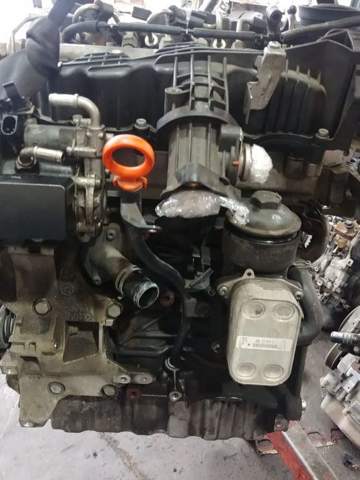 motor cay 1.6 tdi vw caddy audi a1 8x a3 8p vw golf 6 polo 6r skoda superb 2 octavia 2 seat leon