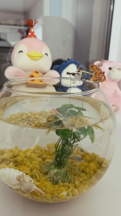 Аквариум с фильтром