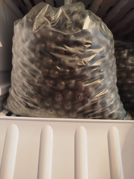 Замороженные ягоды