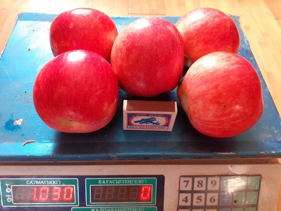 Плодовые деревья