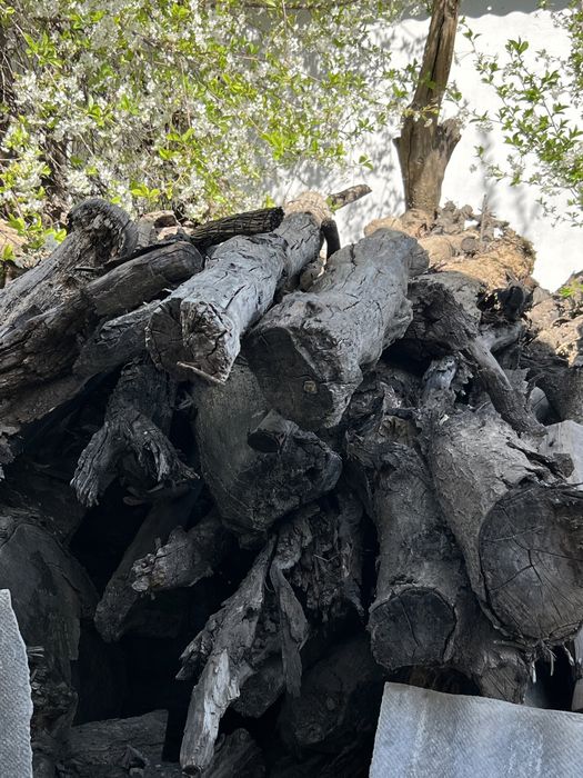 Отын сатылады. Абайда. Багасын келисемиз