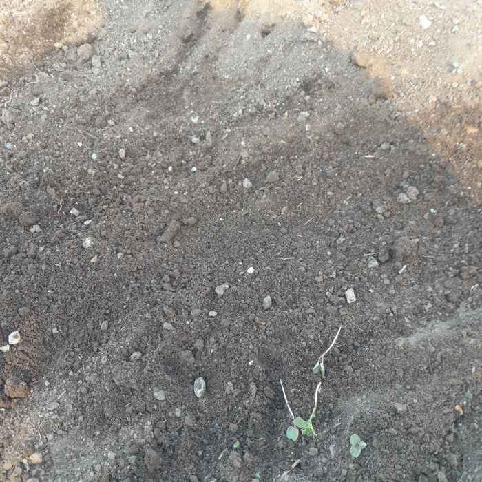 Биогумус сатылады