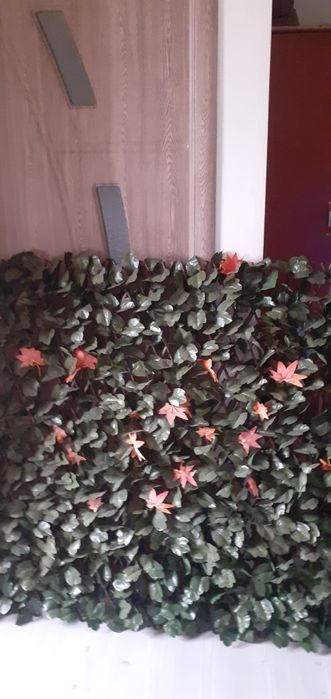 Vând decorațiune foișor