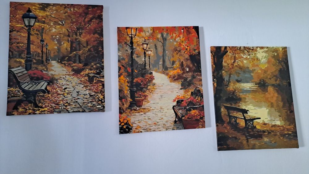 Vând picturi pe numere 50/40cm mai multe relații la telefon 0726353772!
