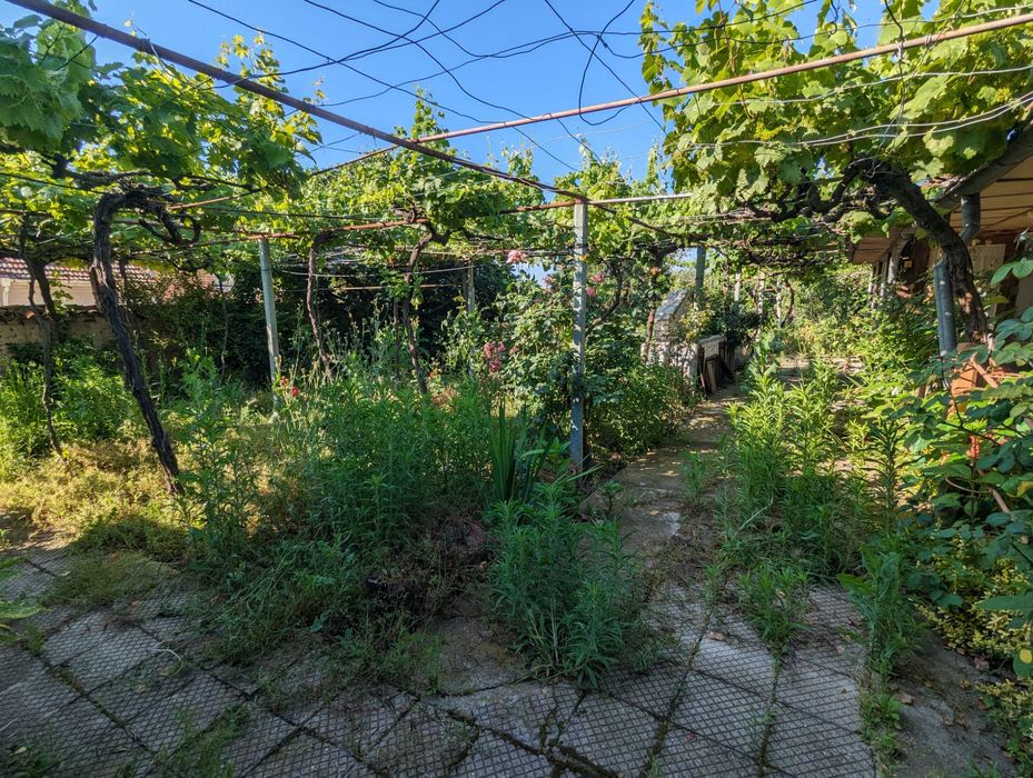 Почистване и поддръжка на дворове, градини и външни пространства.