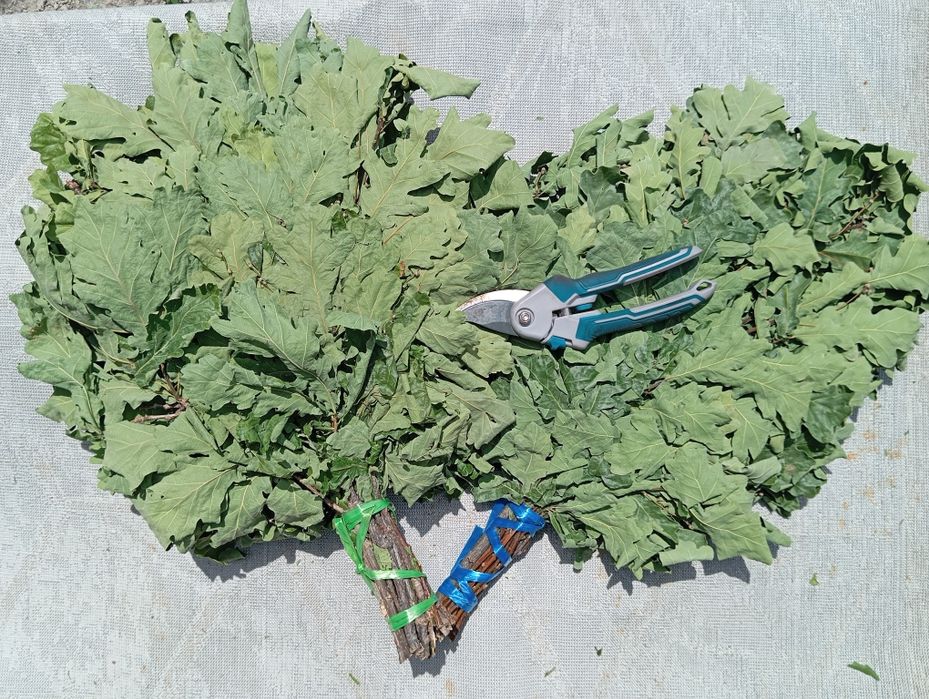 Травы   для бань