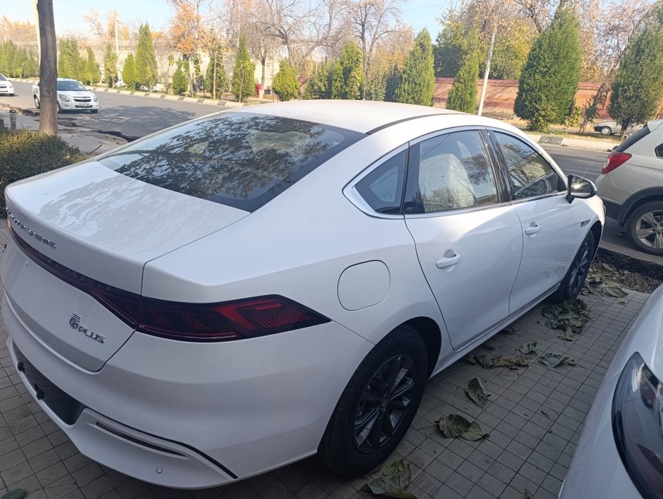 Byd qin 2025йил натариусга тайер