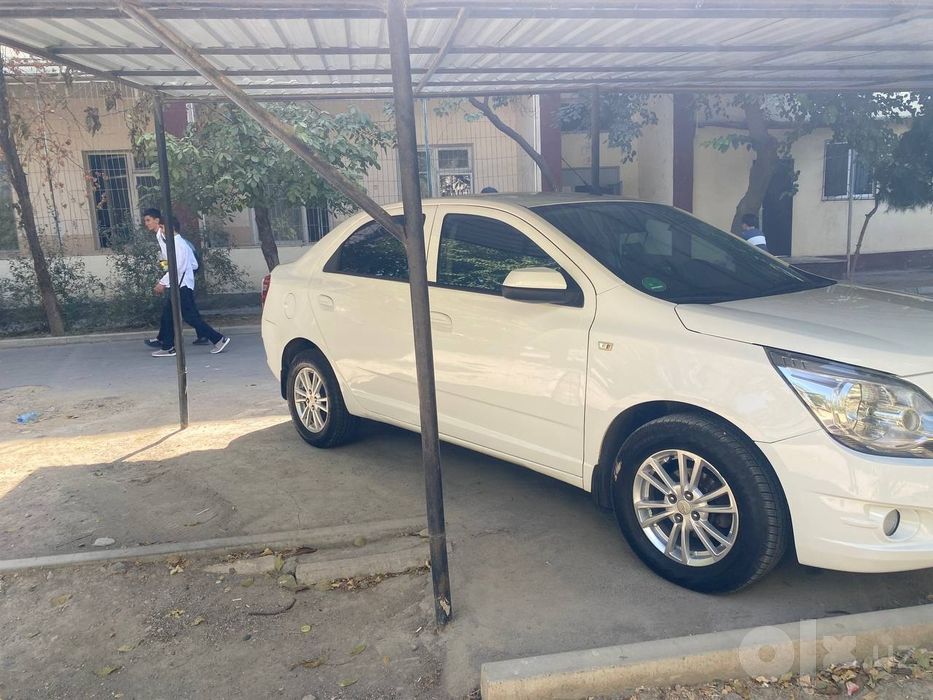 Cobalt 2023 arendaga beriladi.  2500 boshiga
