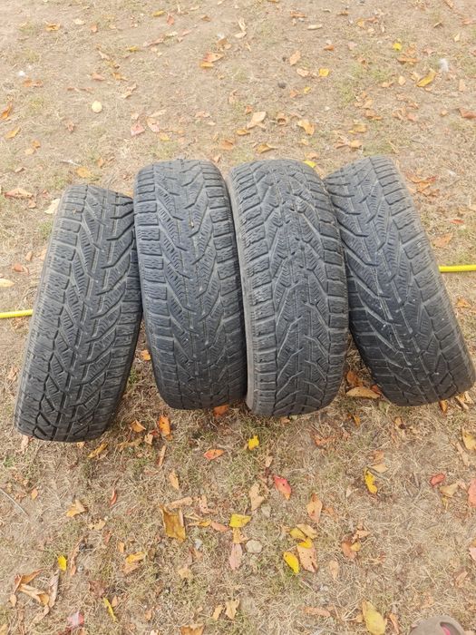 Cauciucuri de iarna 205/55 R16