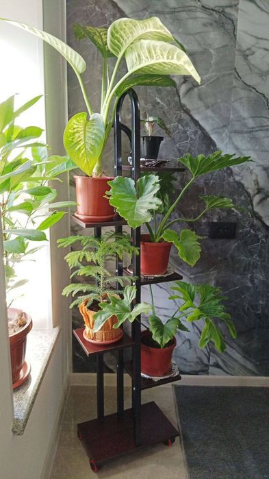 Этажерка полка для цветов джизак