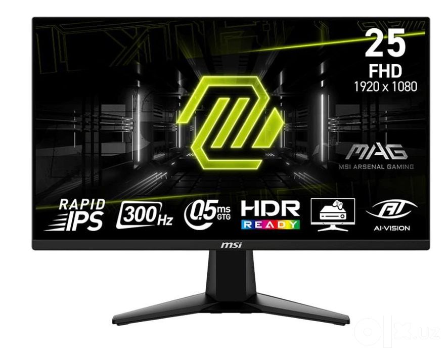 msi 300 Hz 25 dyum