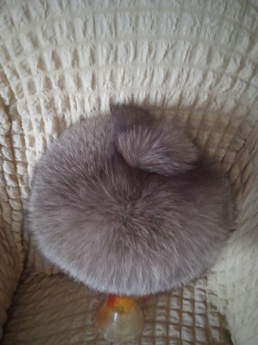 Женская одежда зимняя