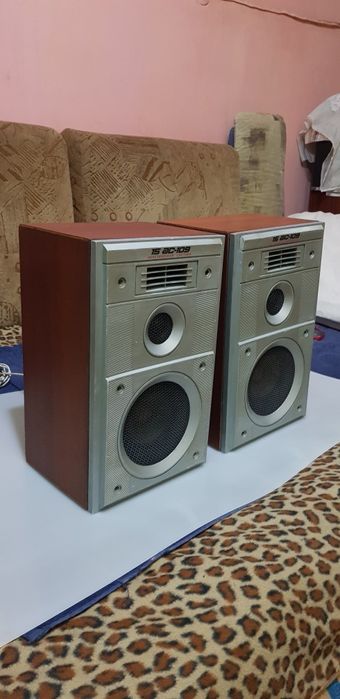 Колонки Вега 15АС - 109