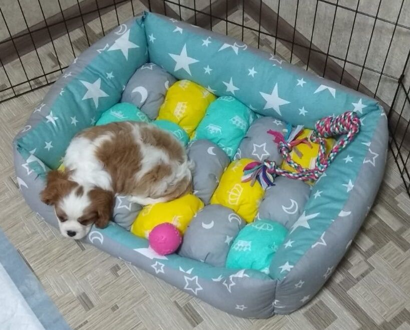 Домики  и лежаки для питомцев