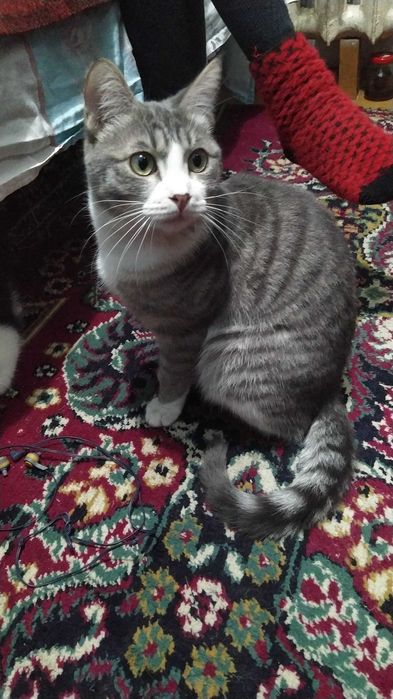 Лучик ищет любящую семью.