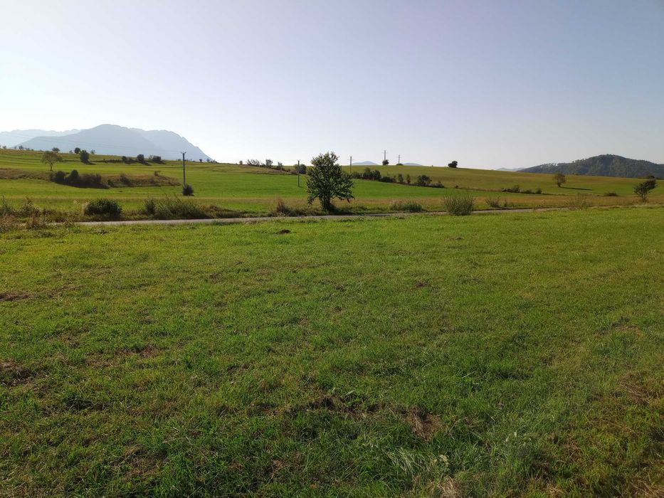 Teren intravilan Zarnesti la asfalt, cu priveliste panoramica
