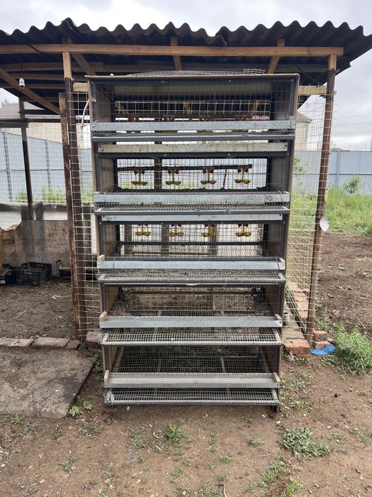 Клетка для перепелок из металла