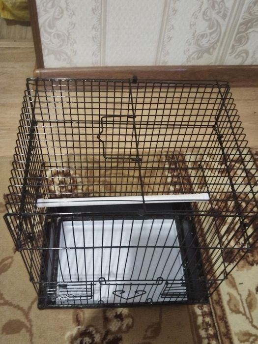Клетка для попугаев