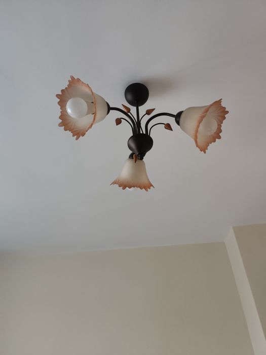 Полилей за пет крушки