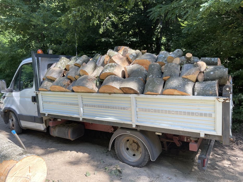 Lemn pentru foc boci [20,30,40 cm]