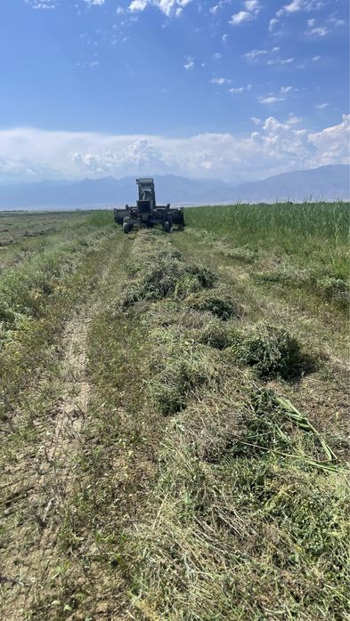 Немка 302 fortshtrit.