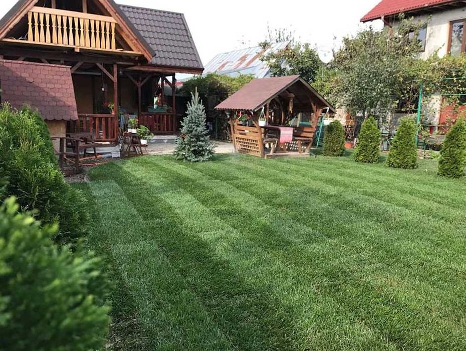 Amenajare Rapidă cu Gazon Natural și Sisteme Moderne