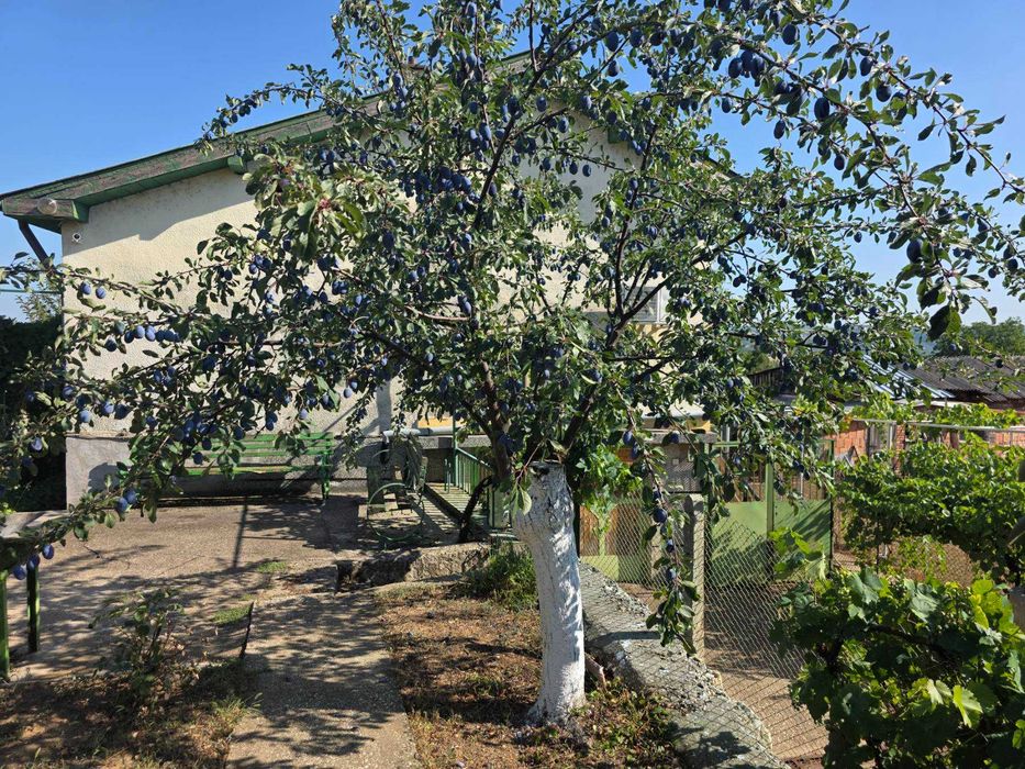 Продава се вила край Червен бряг - 90 кв.м + 1000 кв.м двор