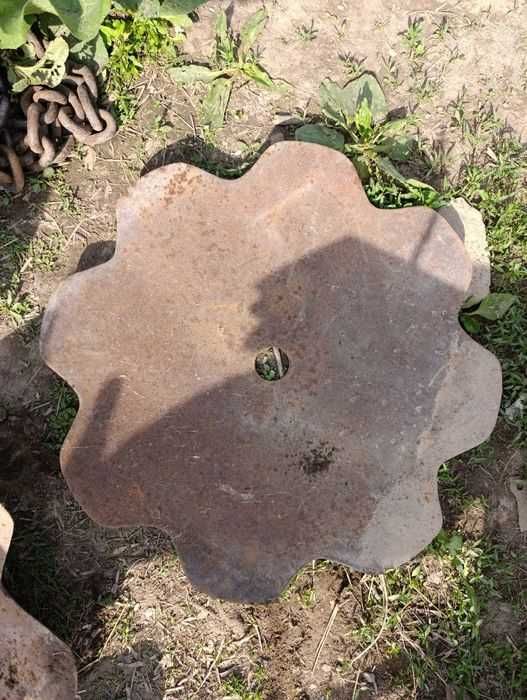 Диски  ромашка на БДТ (дисковая борона)