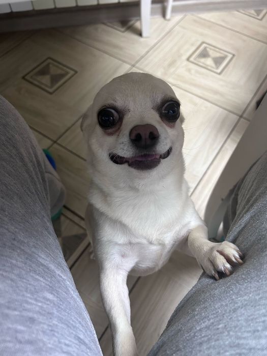 Вязка!! Кабель 3 года !!!