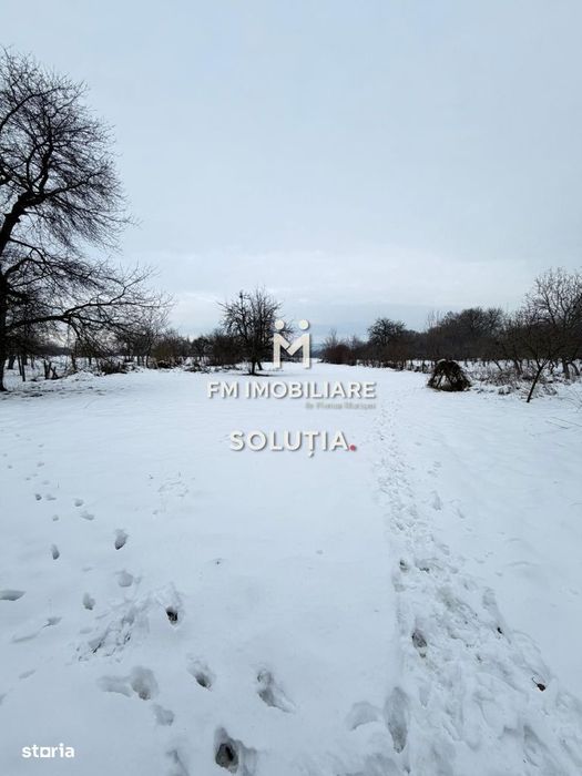 Casă cu teren generos în Buciumi