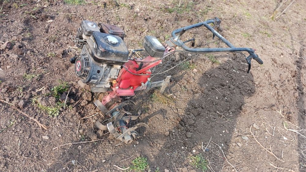 Motocultor de vânzare  de nouă cai