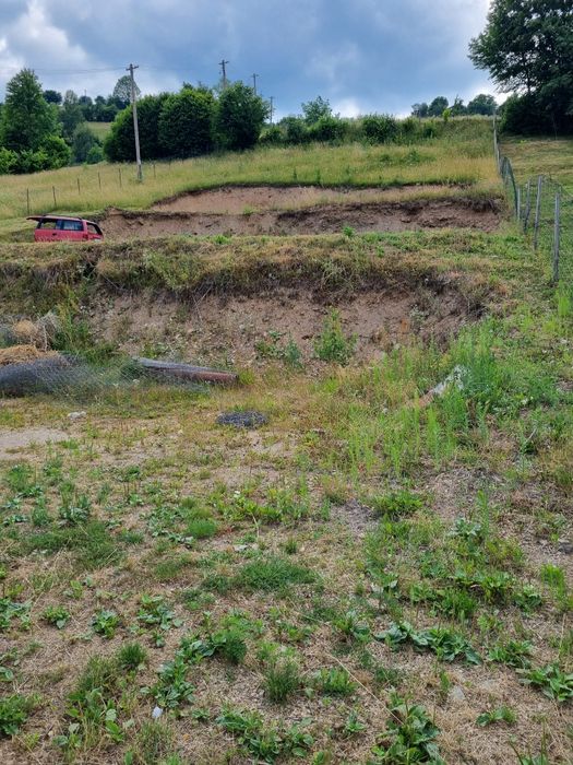 Vand teren intravilan Păltinei