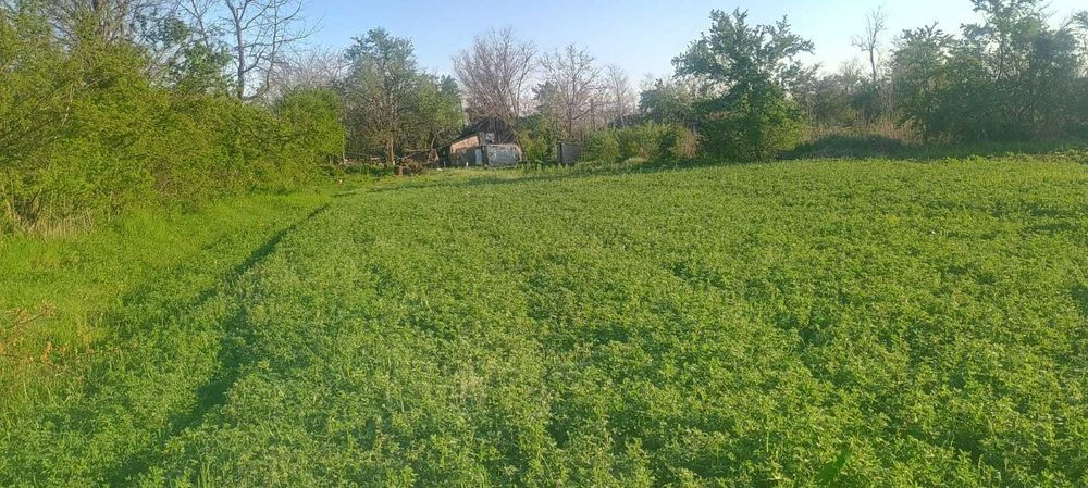 Oază de liniște la 15 min de A3 – Teren 3200mp, utilități funcționale, Merii Petchii