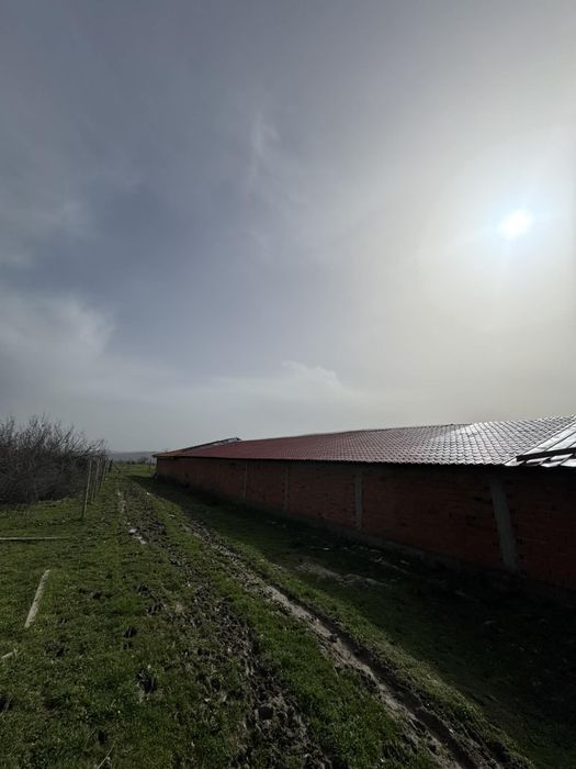 Продава се Парцел в с. Подкрепа, Област Хасково - 930 кв.м за 110 €/кв.м - Снимка #5