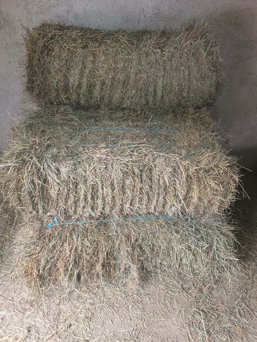 Vând baloți de fan și otava