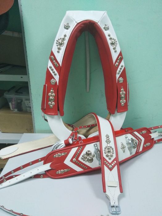 Упряжь парадная для лошади