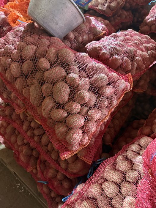 Cartofi de consum alb si rosu