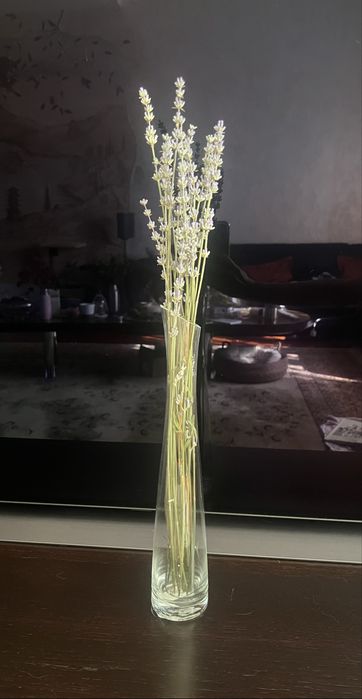 Высушенные листья Лавандин и Лаванда