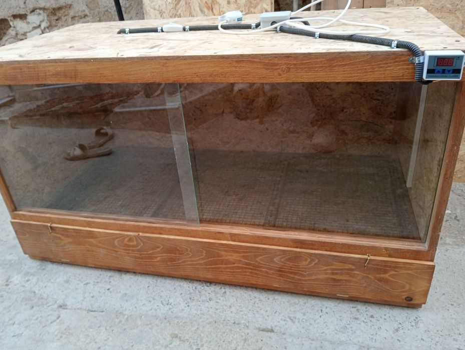 Maternități pentru pui