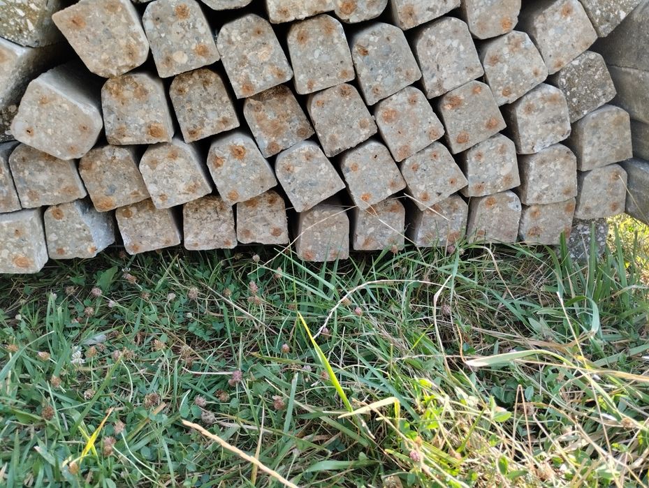 Vand pari spalier/gard 2.70m . 2,80m