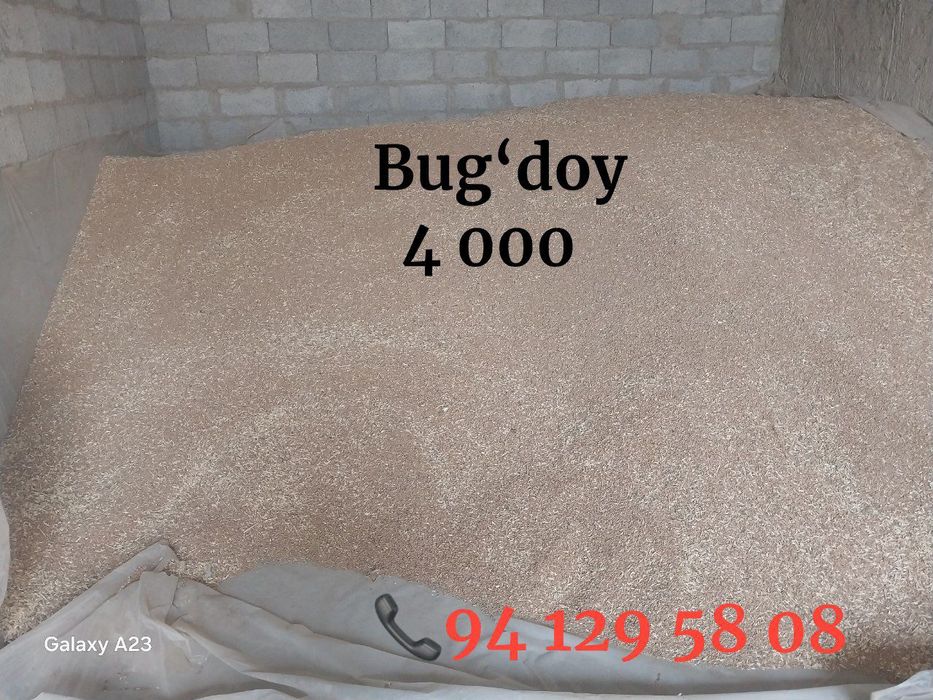 Beda pirs,35 000  Samon pires, 22 000  Bug‘doy, 4 000Tariq. 32 000